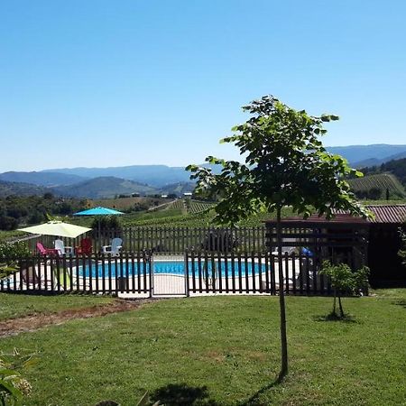 Gites "Entre Les Vignes" Tourreilles Экстерьер фото